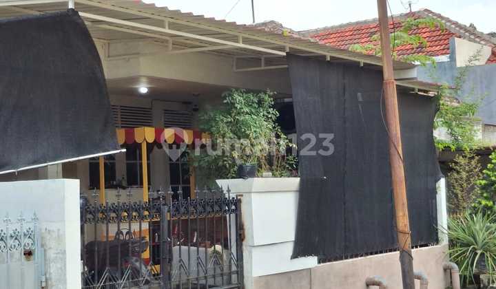 Renovated and Ready-to-Occupy House in North Semarang 1