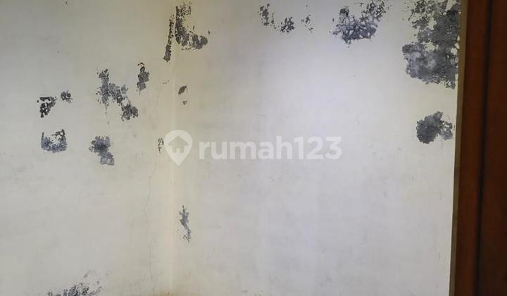 Rumah Posisi HOOK dan Minim Renovasi di Pedurungan (A1765) 2