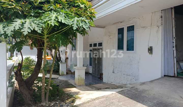 Minimal Renovation and Flood-Free House in West Semarang (A4891) 2