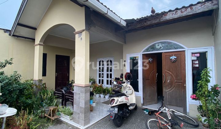 Rumah Minim Renovasi Dengan Suasana Nyaman  di Tembalang 1