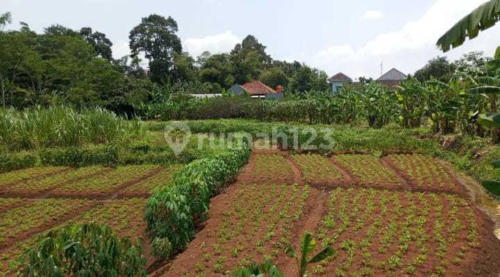 Land Suitable For Building Boarding Houses In Gunung Pati (A2872) 2