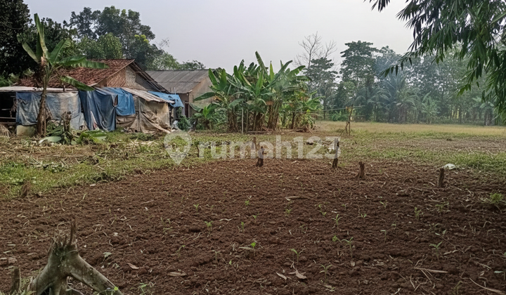 Strategic Residential Plot Cisauk, Near Jatake Station Starting from 1 Million