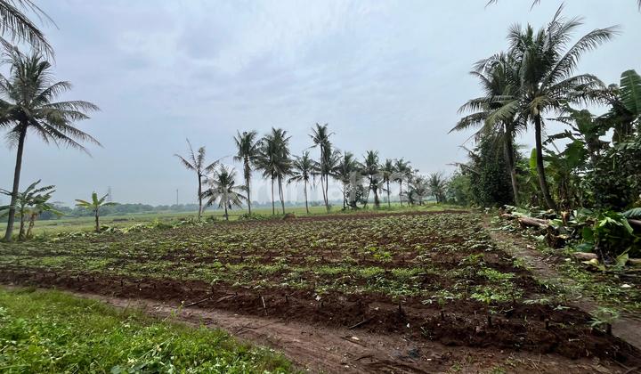 Tanah kavling sindang jaya ,harga dibawah 1jtn/m2 bisa cicil 30x Tanah kavling sindang jaya ,harga dibawah 1jtn/m2 bisa cicil 30x