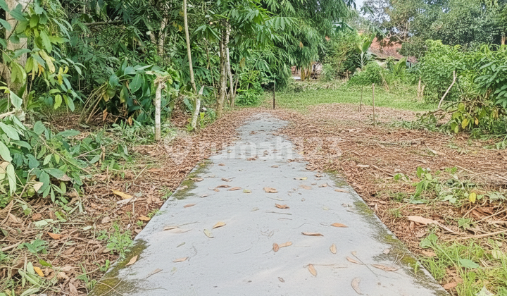 Kavling Tepi Jalan,Area Cisauk Mulai 100Jtan