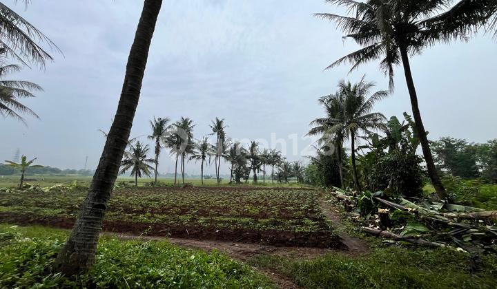 Dijual tanah kavling Sindang Jaya ,dibawah 1jtan Dijual tanah kavling Sindang Jaya ,dibawah 1jtan