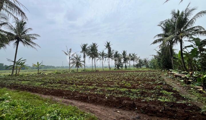 Tanah Kavling Sindang Jaya Shm-Hnya 100Jtan