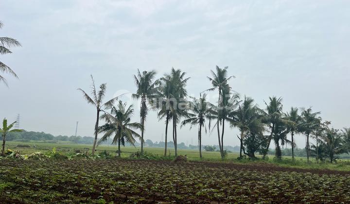 Tanah Kavling Sindang Jaya Shm-Hnya 100Jtan