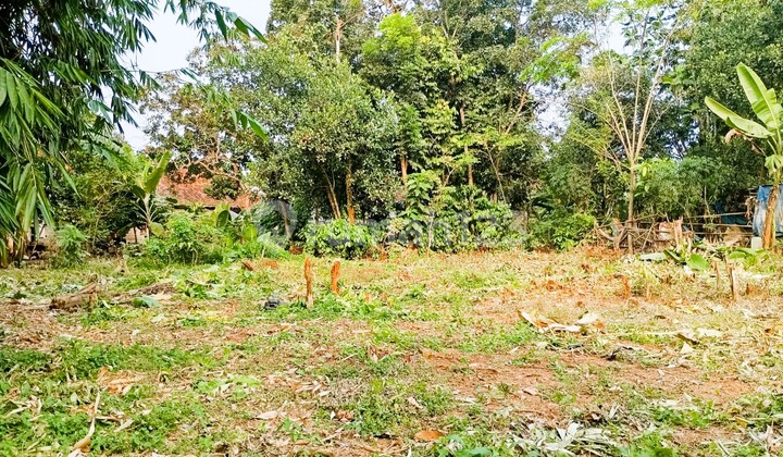 Termurah Kavling Cisauk Tepi Jalan,Dekat Gerbang Tol Legok Termurah Kavling Cisauk Tepi Jalan,Dekat Gerbang Tol Legok