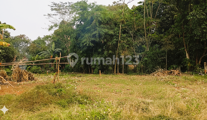 Kavling SHM Cisauk,Tepi Jalan Dekat Perumahan Hiera BSD Kavling SHM Cisauk,Tepi Jalan Dekat Perumahan Hiera BSD