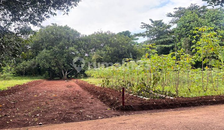 Kavling Setu Bekasi-Dekat Rs Unimedika,Hanya 1Jtan Kavling Setu Bekasi-Dekat Rs Unimedika,Hanya 1Jtan