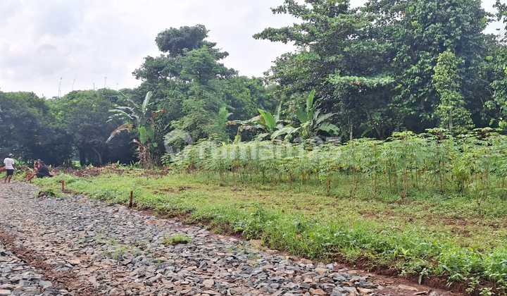 For Sale Setu Bekasi Land Plot, Within Residential Area For Sale Setu Bekasi Land Plot, Within Residential Area