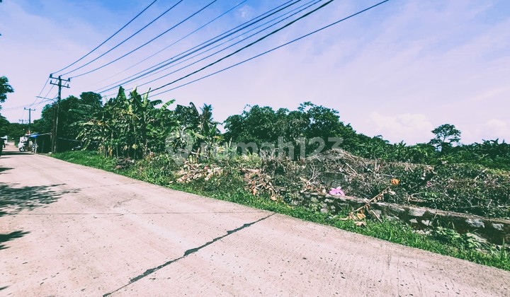 Tanah Kavling Cisauk , Hanya 1Jtan berbatasan Langsung degan BSD 