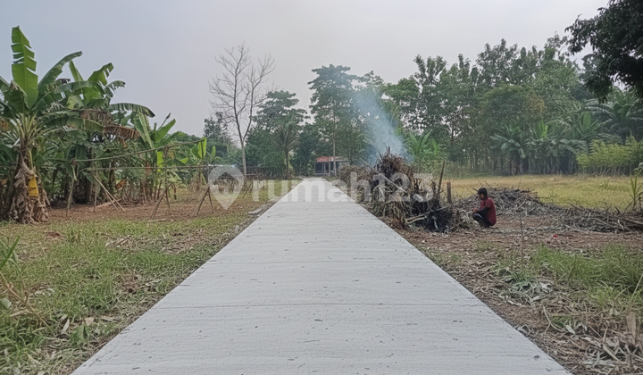 Kavling Area Cisauk Langsung Tepi Jalan Utama