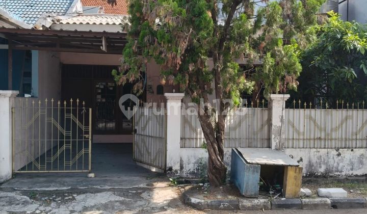 Dijual Rumah Di Siwalankerto Dekat Universitas Petra Dijual Rumah Di Siwalankerto Dekat Universitas Petra