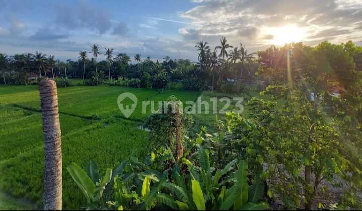 For Rent Guest House 2nd Floor (2 Rooms) at Puri Anyar Guesthouse, Tampaksiring, Gianyar Bali For Rent Guest House 2nd Floor (2 Rooms) at Puri Anyar Guesthouse, Tampaksiring, Gianyar Bali