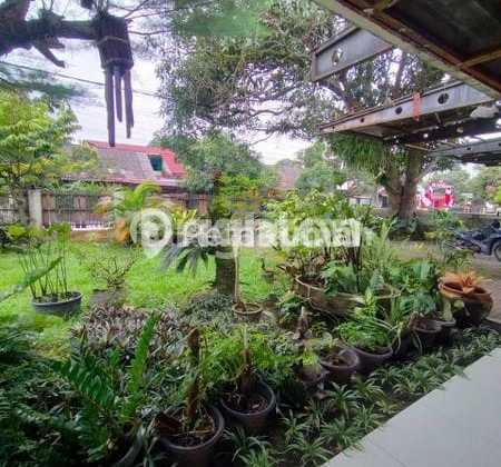 Luxury House, Spacious Yard, Roadside Luxury House, Spacious Yard, Roadside