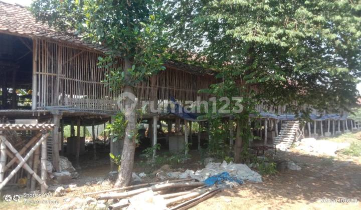 INVESTMENT 10,000 Chicken Coop Mojokerto Freehold Title, Ready to Use INVESTMENT 10,000 Chicken Coop Mojokerto Freehold Title, Ready to Use