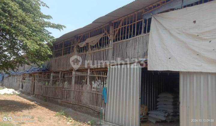 INVESTMENT 10,000 Chicken Coop Mojokerto Freehold Title, Ready to Use INVESTMENT 10,000 Chicken Coop Mojokerto Freehold Title, Ready to Use