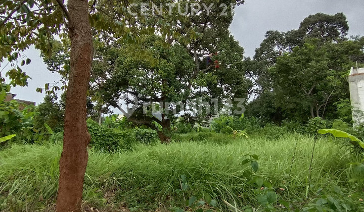 Tanah 4580 m² SHM di Pinggir Jalan Raya Beringin, Ngaliyan 2