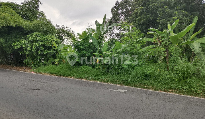 Land 4580 m² SHM on Beringin Main Road Side, Ngaliyan Land 4580 m² SHM on Beringin Main Road Side, Ngaliyan
