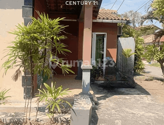 Rumah SHM Tanah Luas Cocok untuk Kos, 2 Menit ke UNDIP Pleburan 1