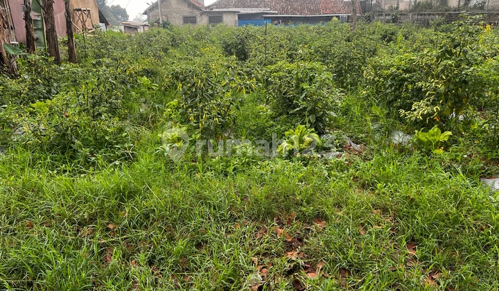 Tanah Datar Bentuk Kotak di Mainroad Kolonel Masturi Tanah Datar Bentuk Kotak di Mainroad Kolonel Masturi