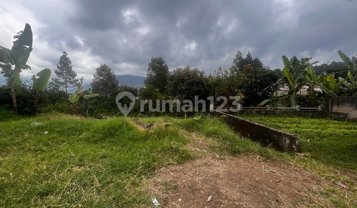 Land for Sale Mainroad Tangkuban@parahu Land for Sale Mainroad Tangkuban@parahu