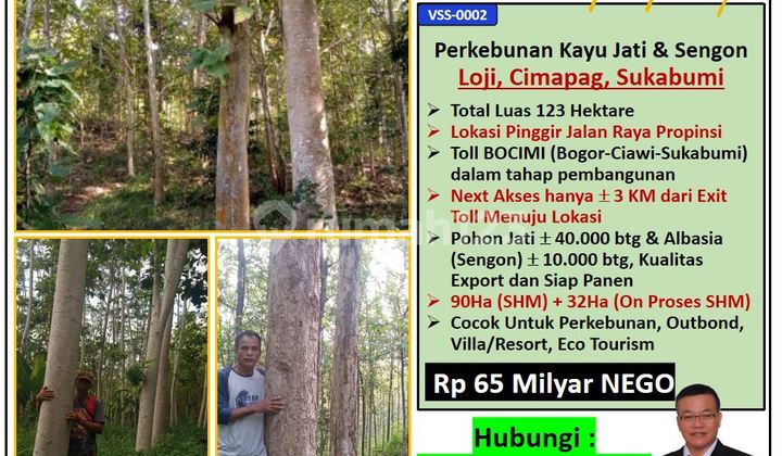 VSS0002 - Teak & Albizia Plantation Land, READY FOR HARVEST, in Cimapag Village, Loji Village, Simpenan District, Sukabumi Regency. VSS0002 - Teak & Albizia Plantation Land, READY FOR HARVEST, in Cimapag Village, Loji Village, Simpenan District, Sukabumi Regency.
