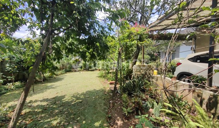 TURUN HARGA !! Dijual Rumah Super Asri berkonsep Kebun Garden di Sawangan Depok 2