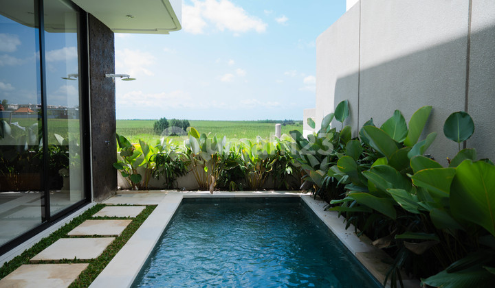 2-bedroom Villa Near The Beach With Rice Field View In Cemagi