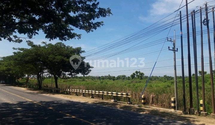 Tanah Dijual 9 Ha Kawasan Industri Tuban Jatim Strategis