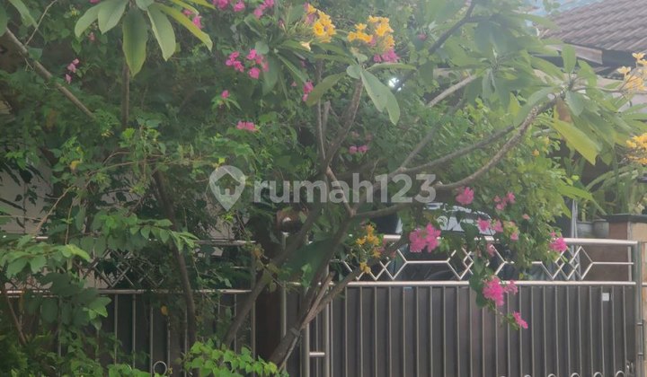 Dijual Rumah Luas Dan Murah Bonus Toko Bojong Kulur Rumah 2