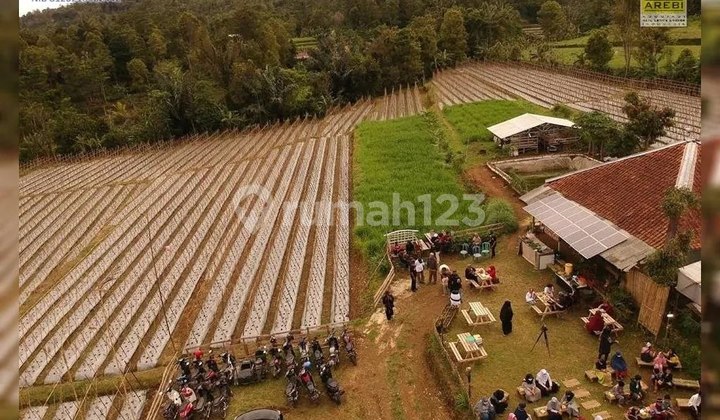 Tanah Luas Peruntukan Vila Perumahan di Desa Wanayasa Purwakarta Tanah Luas Peruntukan Vila Perumahan di Desa Wanayasa Purwakarta