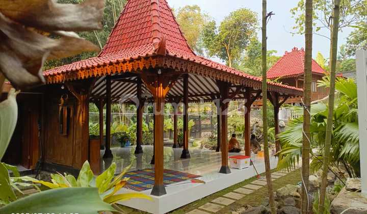 Villa with 4 buildings in Girikerto, suitable for living or investment. Villa with 4 buildings in Girikerto, suitable for living or investment.