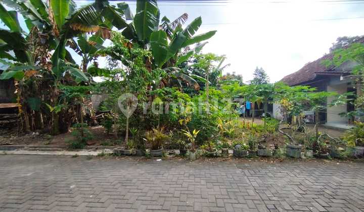 Tanah Strategis Dekat UGM, Belakang Hotel Hyatt Jl Palagan Tanah Strategis Dekat UGM, Belakang Hotel Hyatt Jl Palagan