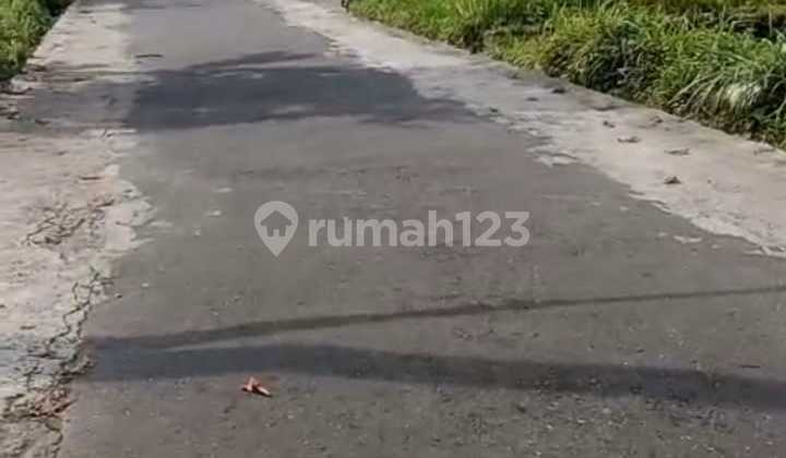 Strategic Land South of UII Campus Jl Kaliurang KM 13 Strategic Land South of UII Campus Jl Kaliurang KM 13