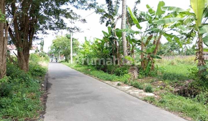 Strategic Land with Rice Field View North of the Suciati Gito Gati Mosque