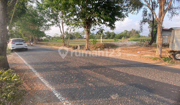Strategic Land by the Roadside in Pandowoharjo, Sleman