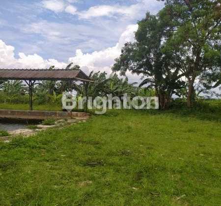 For Rent: Large Strategic Land on Main Road in Bogor For Rent: Large Strategic Land on Main Road in Bogor