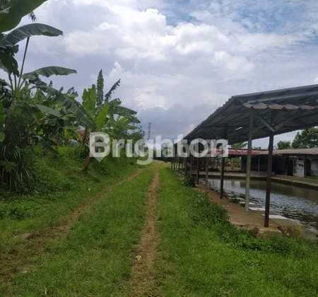 For Rent: Large Strategic Land on Main Road in Bogor For Rent: Large Strategic Land on Main Road in Bogor