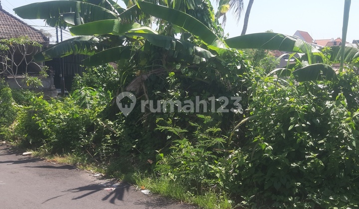 Dijual Tanah Strategis di Pasekan, Batubulan, Sukawati, Gianyar, Bali