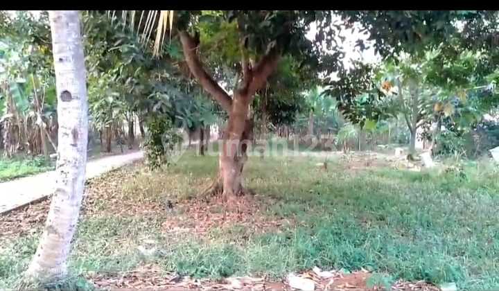 Dijual Segera Tanah  SHM Luas 1.126 Di Mustika Jaya Kota Bekasi