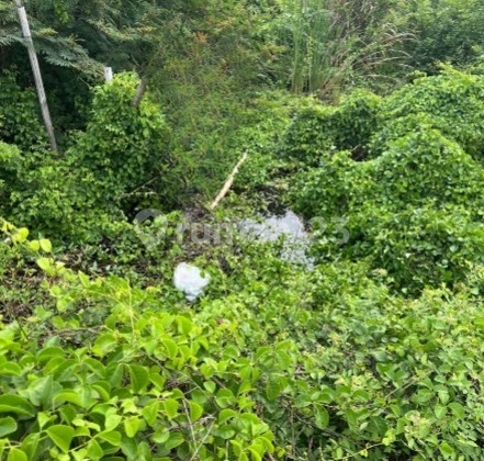 Dijual Tanah Luas 370 Pinggir Jalan BKT Tarumajaya Bekasi Dijual Tanah Luas 370 Pinggir Jalan BKT Tarumajaya Bekasi