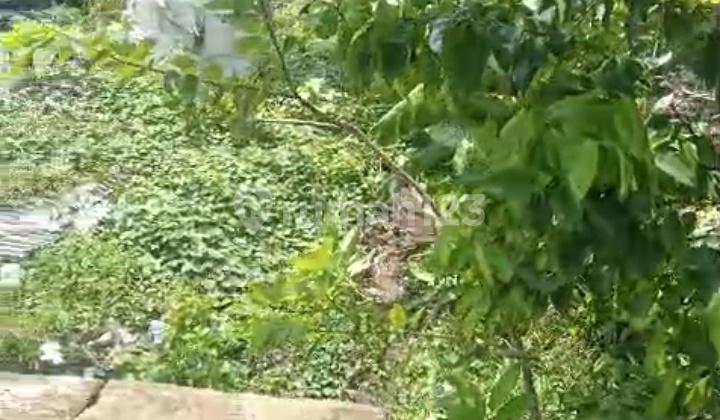 Dijual Tanah Murah di Menganti Gersik Jawa Timur Dijual Tanah Murah di Menganti Gersik Jawa Timur