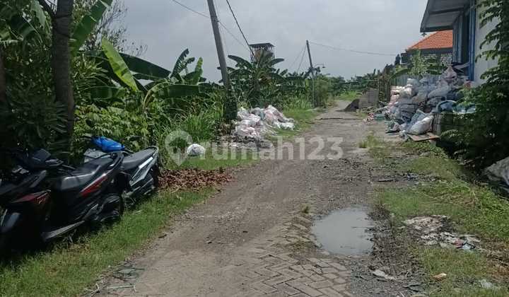 Tanah Murah Cocok Untuk Investasi