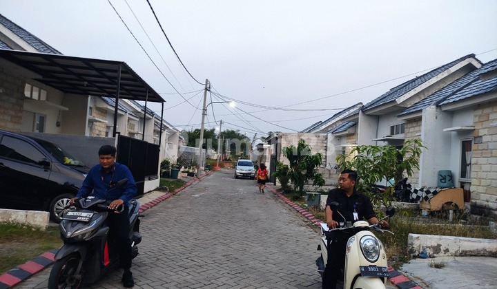Dijual Rumah Murah Didaerah Kedamean Gersik Jawa Timur 2