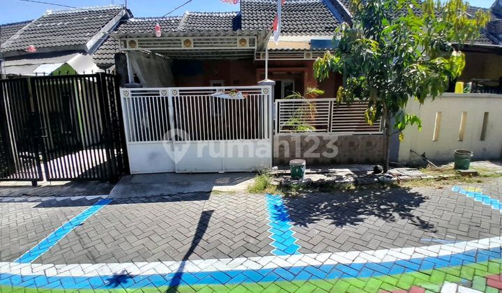 Cheap House for Sale in Driyorejo Area, Gresik, East Java