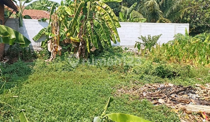 Dijual Tanah Di Jl. Kp Karang Kendal, Rorotan,14140, Rorotan Shm