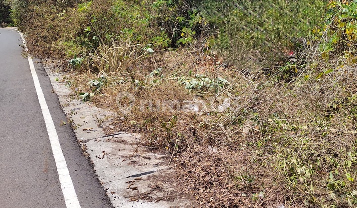 Strategic Land For Sale On Jl. Dukuh Sari, Nusa Dua – 430 m² Strategic Land For Sale On Jl. Dukuh Sari, Nusa Dua – 430 m²
