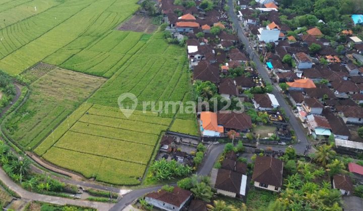 Premium Land 6000m2 Rice Field View Near Alila Tabanan Hotel